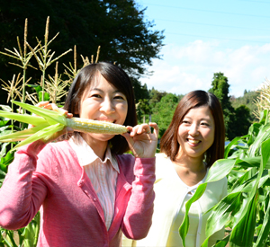 「朝さんぽ」早朝の菜園